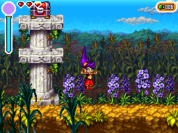 Shantae: Risky's Revenge Director's Cut